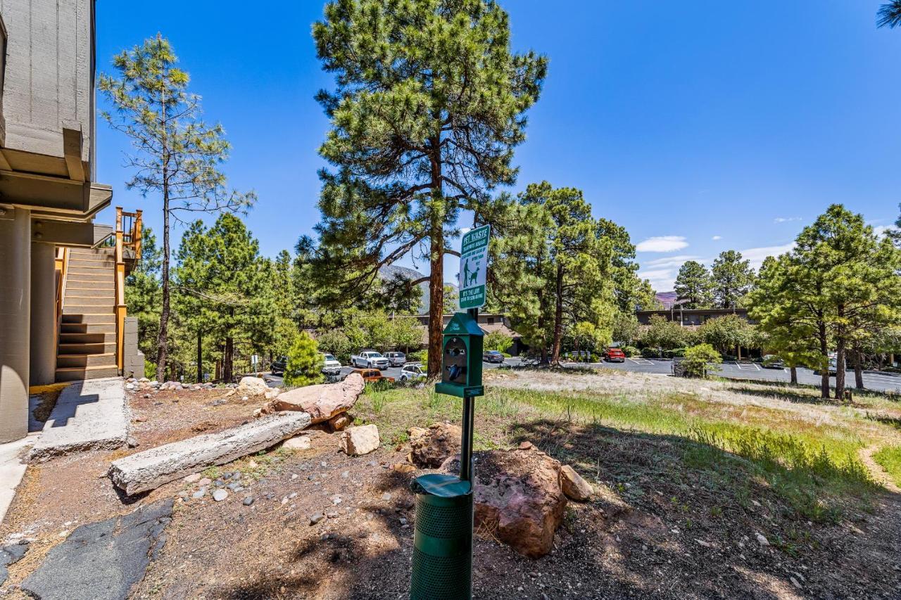 Вилла Delightful 1 Bdrm Country Club Retreat With Mt Elden Views! Флагстафф Экстерьер фото
